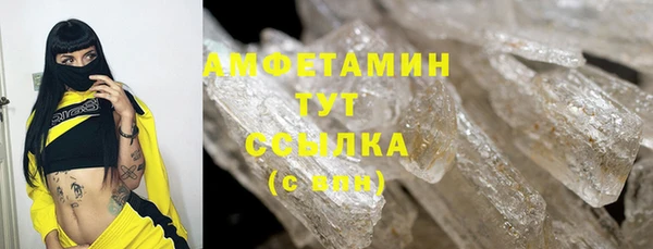 индика Бронницы
