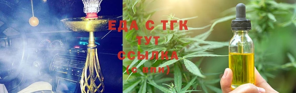 индика Бронницы