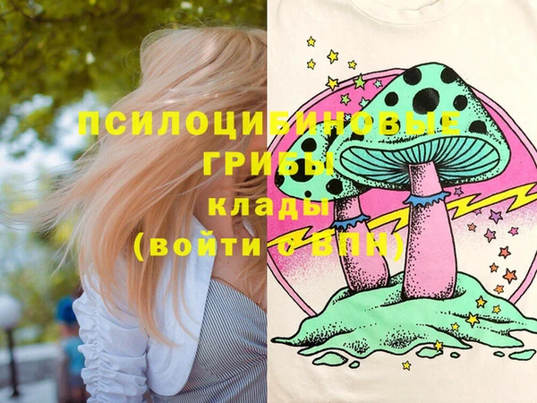 мдпв Бугульма