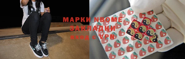 индика Бронницы