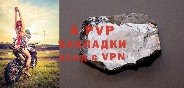 индика Бронницы