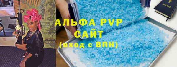 индика Бронницы