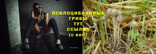 мдпв Бугульма
