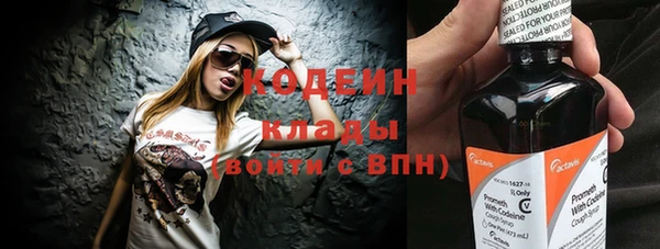 индика Бронницы
