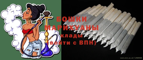 индика Бронницы