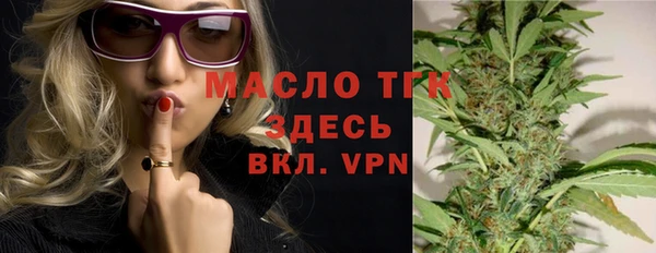 индика Бронницы