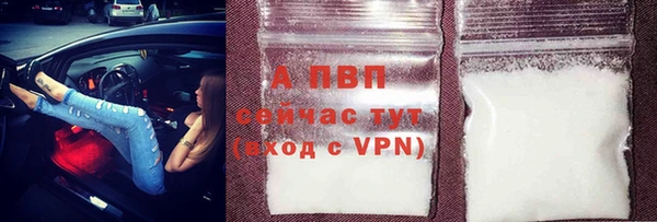 индика Бронницы