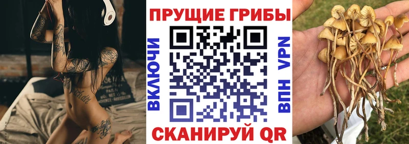 Псилоцибиновые грибы Cubensis  маркетплейс формула  Екатеринбург 
